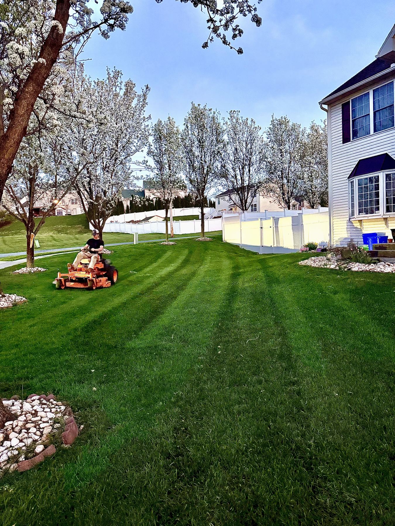 Freshly maintained lawn with clean mowing lines