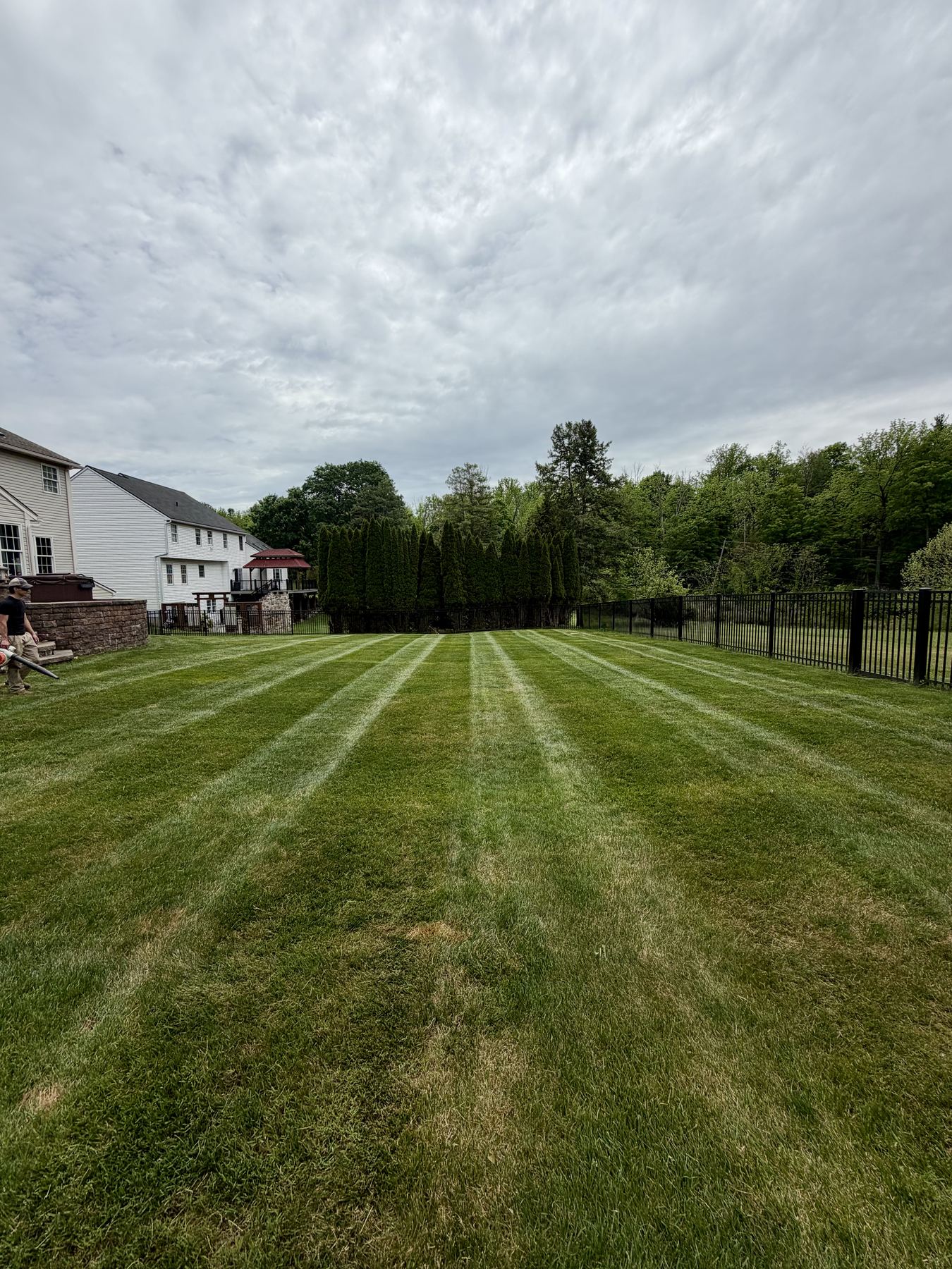 Finished landscaping project with fresh lawn and planting beds