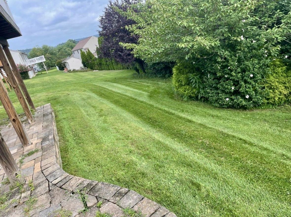 Freshly mowed lawn near a deck and landscape border