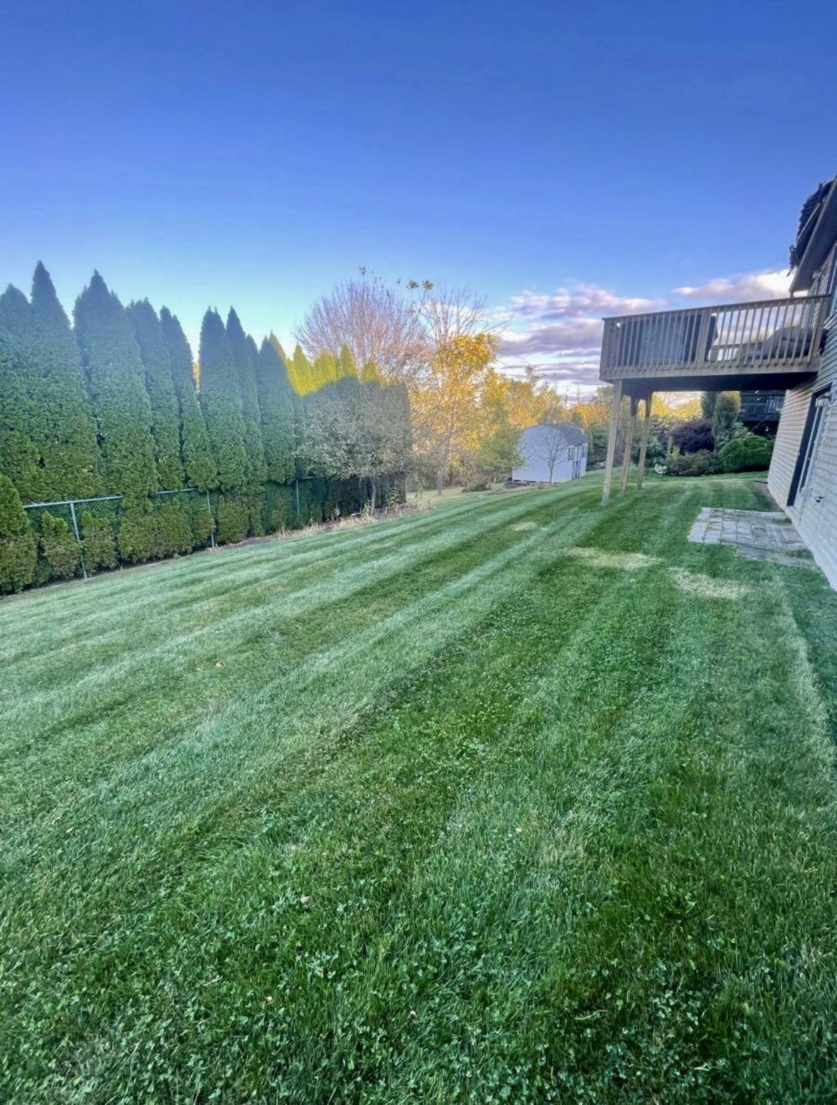 Freshly cut lawn with clean mowing lines