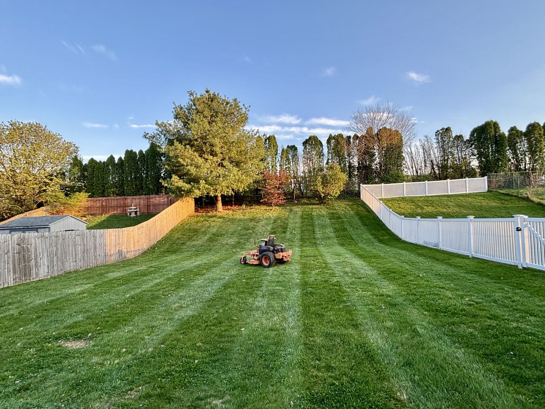 Fresh landscape installation and yard improvement