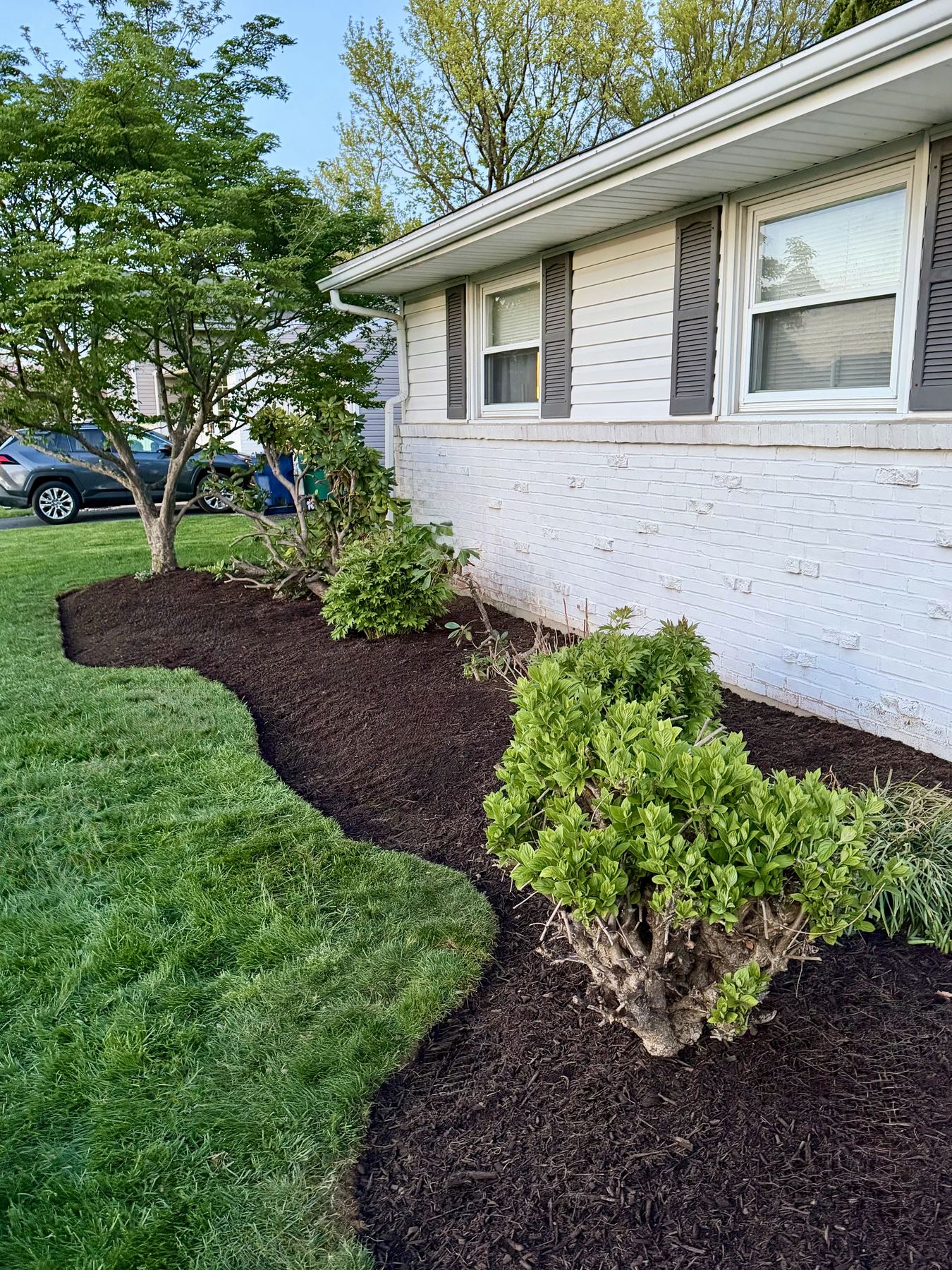 Landscape project with planting and exterior improvements